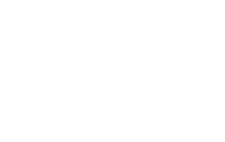 web Cullen Equine Solutions offical Logo insta -08